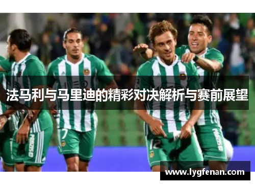 法马利与马里迪的精彩对决解析与赛前展望