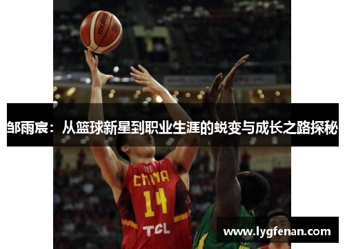 邹雨宸：从篮球新星到职业生涯的蜕变与成长之路探秘